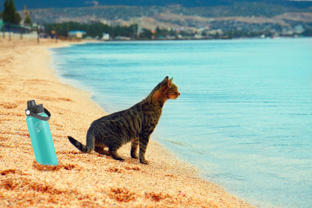 Arctic Coolnmore μπουκάλι θερμός 500ml με 3 καπάκια. Αυτό το ανοξείδωτο μπουκάλι νερού με καλαμάκι, στεγανό 100%. Μπουκάλι θερμός για καφέ. Ανοξείδωτο παγούρι νερού thermos ισοθερμικό, ασφαλές παγουρίνο για παιδιά