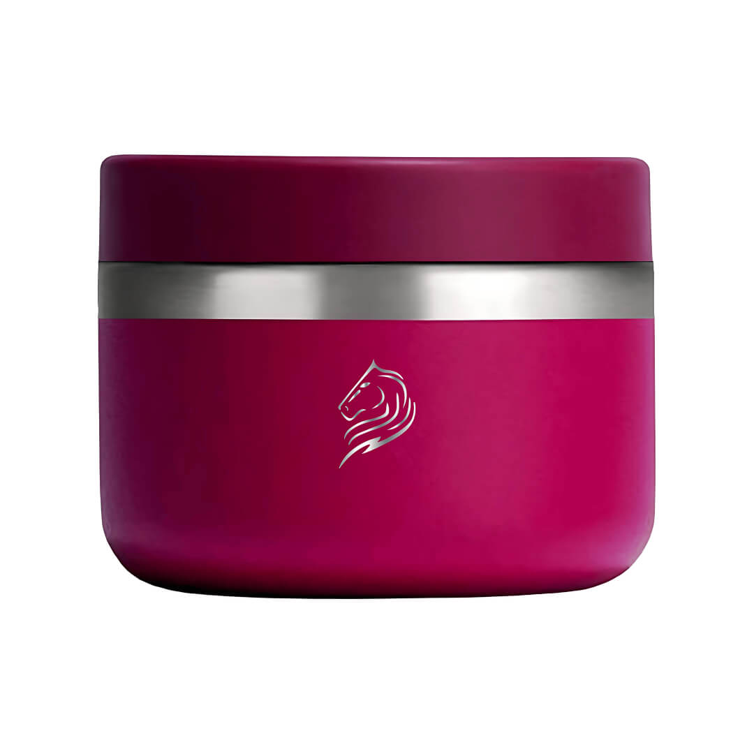 Θερμός φαγητού Coolnmore maroon 350ml. Διατηρήστε το φαγητό σας ζεστό ή κρύο για ώρες με το δοχείο φαγητού Coolnmore. Φαγητοδοχείο ανοξείδωτο 100% στεγανό ασφαλές στην τσάντα σας. Ιδανικό θερμός φαγητού για το σχολείο. Θερμός φαγητού για μωρά 