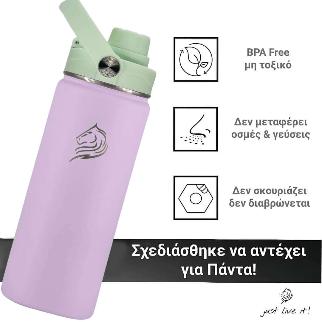Το Coolnmore Nook θερμος νερου 350ml bpa free.  Purple water bottle with green lid on a white background, featuring BPA-free and other product details.